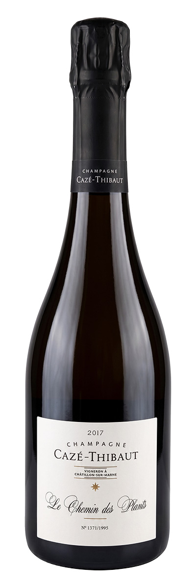 カゼ・ティボー シュマン・デ・プラン（仏シャンパーニュ750ml）
