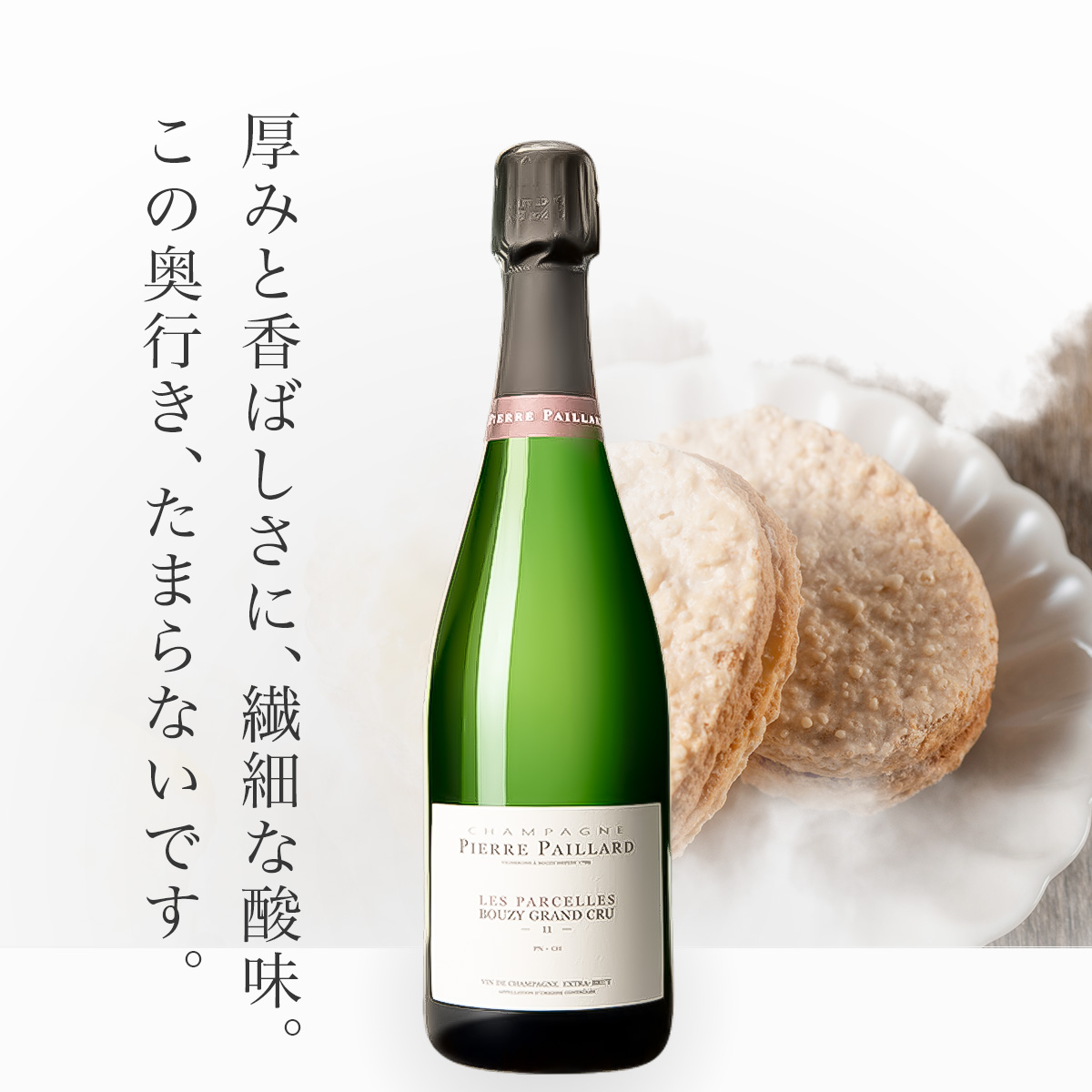 ★今だけ15％OFF★ピエール・パイヤール レ・パルセル ブジー・ブリュット・グラン・クリュ(仏シャンパーニュ750ml)