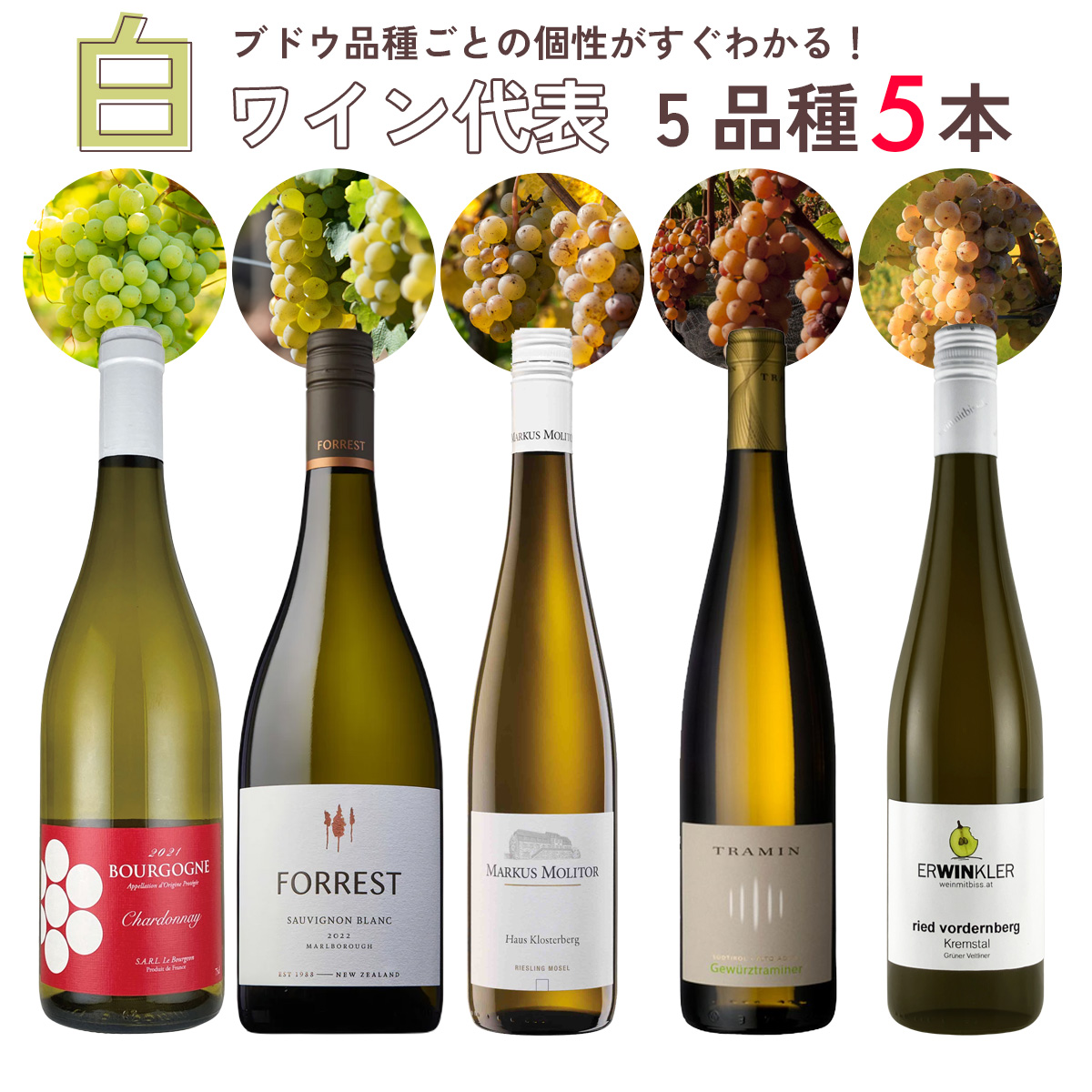 世界の白ワインを味わい尽くす！代表5品種飲み比べセット(750ml×5本)