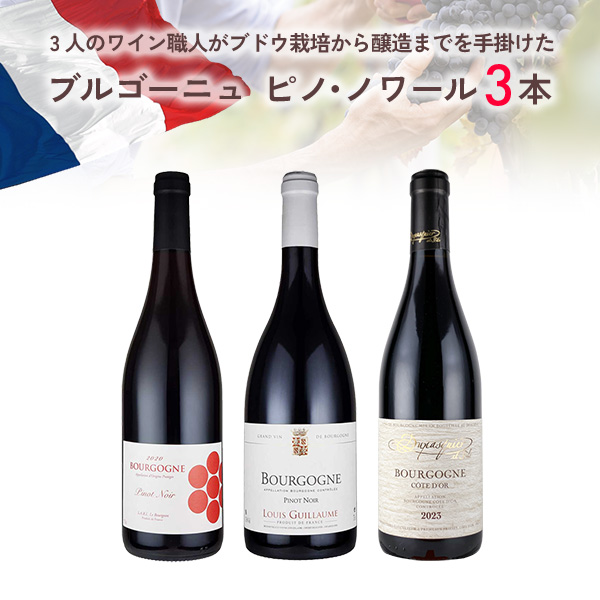 3人のワイン職人がブドウ栽培から醸造までを手掛けた、厳選ブルゴーニュ・ピノ・ノワール3本セット(赤750ml×3本)