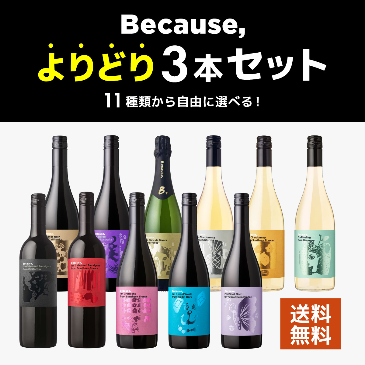 『ビコーズワイン』よりどり3本セット