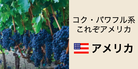 アメリカ